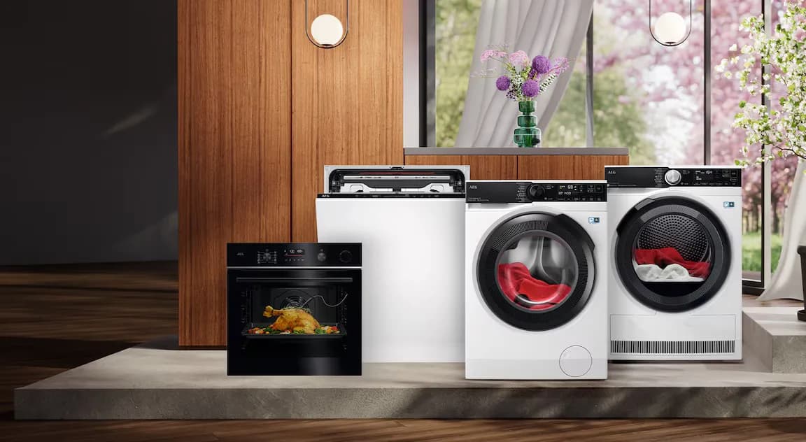 AEG appliance service in Canton Ticino