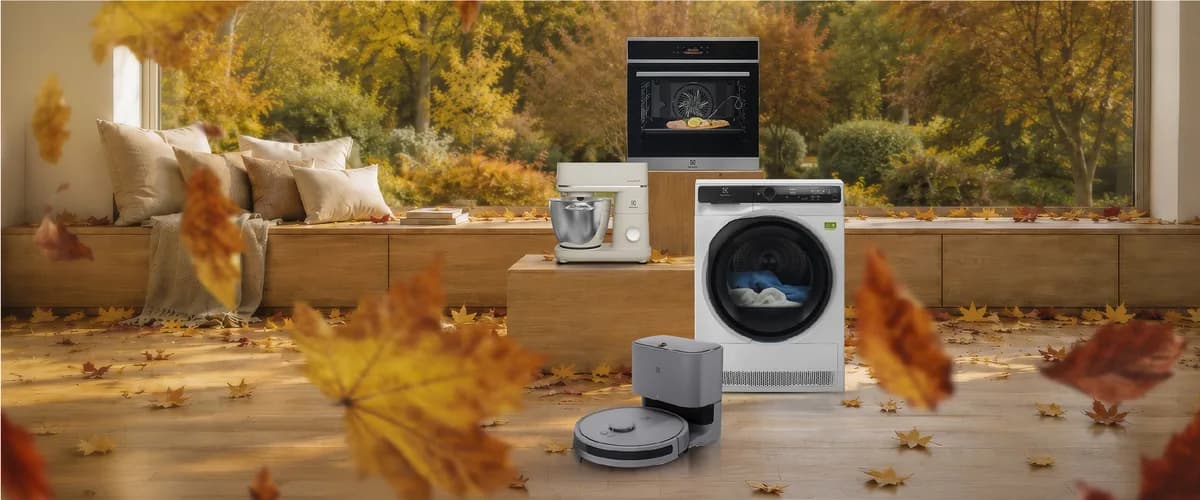 Riparazione elettrodomestici Electrolux nel Canton Ticino